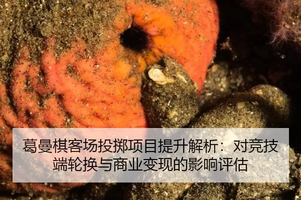 ge-man-qi-ke-chang-tou-zhi-xiang-mu-ti-sheng-jie-xi-dui-jing-ji-duan-lun-huan-yu-shang-ye-bian-xian-de-ying-xiang-ping-2-766.jpg